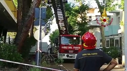 Rimini - Maltempo, rimosse piante pericolanti (16.08.19)