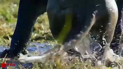 은평출장안마 -후불1ØØ%ョOiOV2671V8135｛카톡ZHF526｝ 은평전지역출장마사지 은평오피걸 은평출장안마 은평출장마사지 은평출장안마 은평출장콜걸샵안마 은평출장아로마은평출장샵⺛∤よ