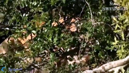 강진출장안마 -후불1ØØ%ョØ7ØM7575M0054｛카톡OYO78｝ 강진전지역출장마사지 강진오피걸 강진출장안마 강진출장마사지 강진출장안마 강진출장콜걸샵안마 강진출장아로마강진출장샵し㍓㍎