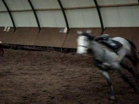 queiros et la selle portugaise