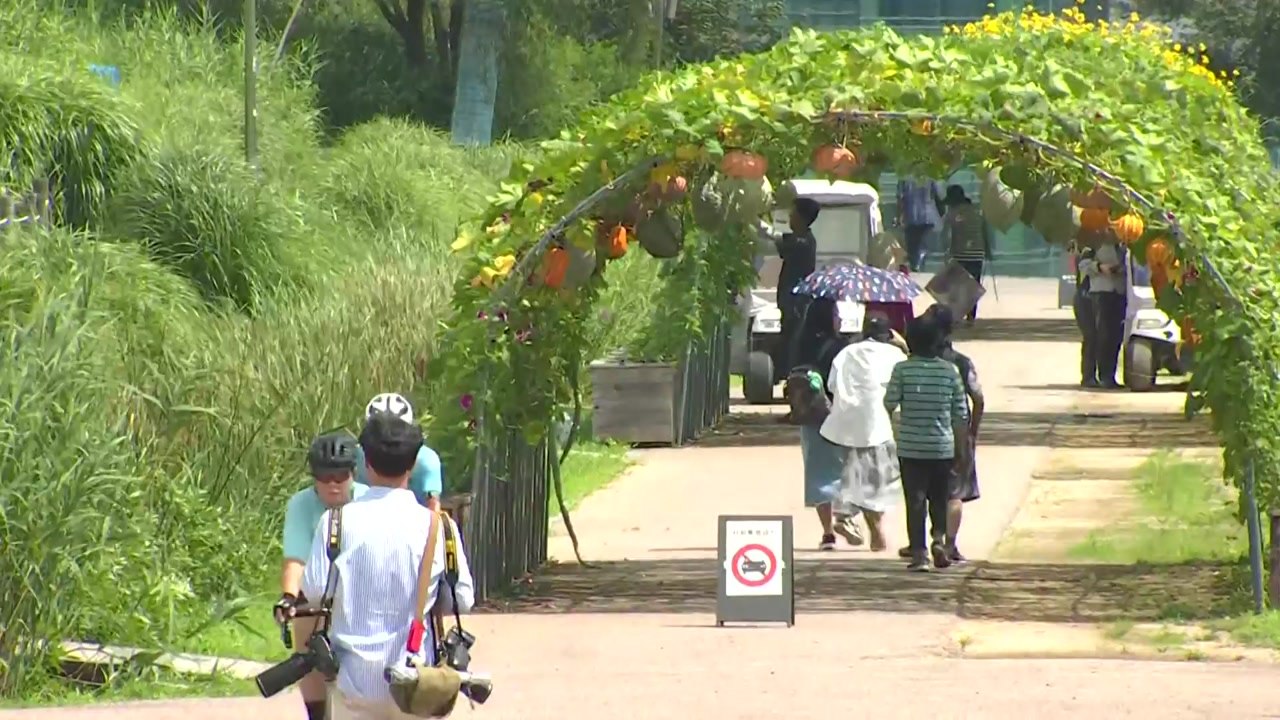 [날씨] 열대야 사라지고, 35℃ 무더위 꺾여...산발적 비 / YTN