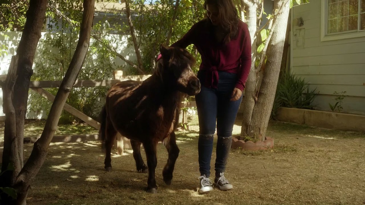 Adventures of Dally and Spanky Movie