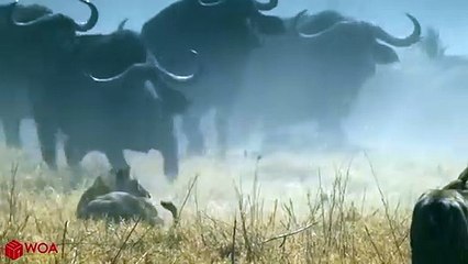 계룡출장안마 -후불100%ョØ1ØM7685M6221｛카톡MGM1472｝  계룡전지역출장안마 계룡오피걸 계룡출장마사지 계룡안마 계룡출장마사지 계룡콜걸샵∔ぱぜ