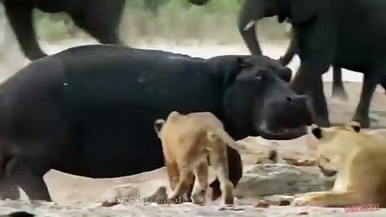 용산출장안마 -후불100%ョO7OV5222V6739｛카톡CS69｝  용산전지역출장안마 용산오피걸 용산출장마사지 용산안마 용산출장마사지 용산콜걸샵⺠≜⊌