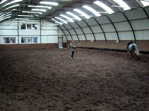 queiros et la selle portugaise 2