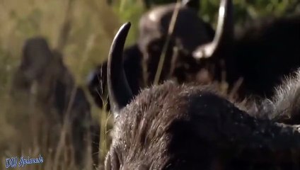 공주출장안마 -후불1ØØ%ョØ1ØM7685M6221｛카톡MGM1472｝ 공주전지역출장마사지 공주오피걸 공주출장안마 공주출장마사지 공주출장안마 공주출장콜걸샵안마 공주출장아로마공주출장샵≗ゃ㌦