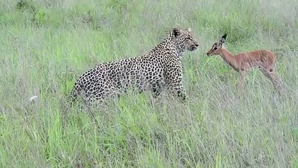 신시가지출장안마 -후불100%ョOiOs2671s8135｛카톡AQ52｝  신시가지전지역출장안마 신시가지오피걸 신시가지출장마사지 신시가지안마 신시가지출장마사지 신시가지콜걸샵べ㌔㌖