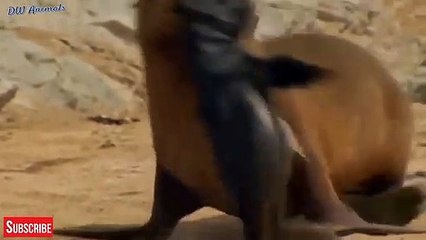 창원출장안마 -후불100%ョOiOE7685E6221｛카톡PP888｝  창원전지역출장안마 창원오피걸 창원출장마사지 창원안마 창원출장마사지 창원콜걸샵∮ゔ㍉