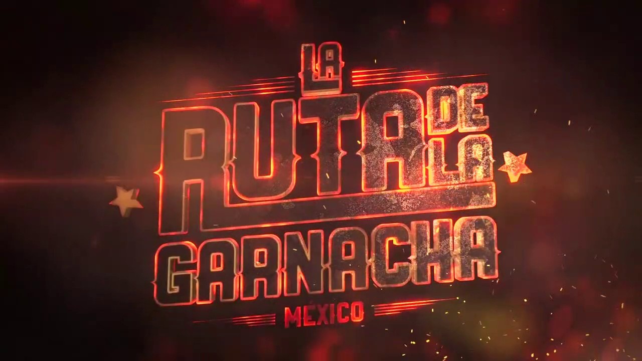 La ENCICLOPEDIA del TACO