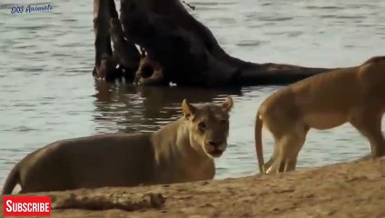 연천출장안마 -후불1ØØ%ョØ7ØM7575M0069｛카톡CC6969｝ 연천전지역출장마사지 연천오피걸 연천출장안마 연천출장마사지 연천출장안마 연천출장콜걸샵안마 연천출장아로마 연천출장㌙∋≂