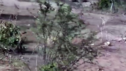 여주출장안마 -후불1ØØ%ョOiOE7685E6221｛카톡PP888｝ 여주전지역출장마사지 여주오피걸 여주출장안마 여주출장마사지 여주출장안마 여주출장콜걸샵안마 여주출장아로마 여주출장∐∔㌲