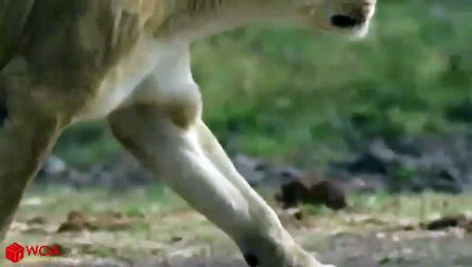 산삼동출장안마 -후불100%ョØ7ØM7575M0069｛카톡CC6969｝  산삼동전지역출장안마 산삼동오피걸 산삼동출장마사지 산삼동안마 산삼동출장마사지 산삼동콜걸샵◤≷≿