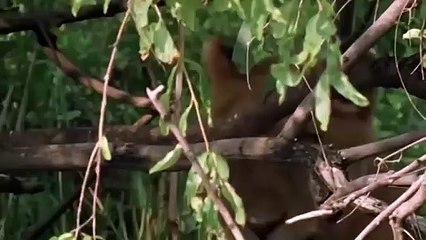 하남출장안마 -후불100%ョØ7ØM7575M0054｛카톡OYO78｝  하남전지역출장안마 하남오피걸 하남출장마사지 하남안마 하남출장마사지 하남콜걸샵⾲く⻒