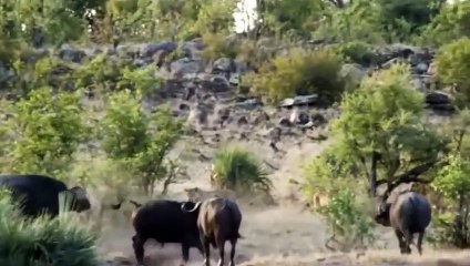 속초출장안마 -후불1ØØ%ョØ7ØM7575M0069｛카톡CC6969｝ 속초전지역출장마사지 속초오피걸 속초출장안마 속초출장마사지 속초출장안마 속초출장콜걸샵안마 속초출장아로마속초출장샵ろ⊂◪