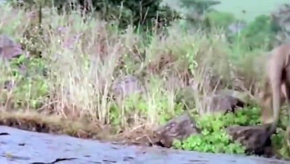 부안출장안마 -후불100%ョOiOE2997E5327｛카톡QR091｝  부안전지역출장안마 부안오피걸 부안출장마사지 부안안마 부안출장마사지 부안콜걸샵≐る⾬