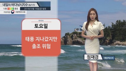 [내일의 바다낚시지수] 8월17일 전 해역 파고 1m 예상 뜨거운 수온도 활동을 방해할 듯 / YTN