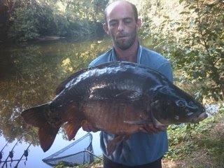 quelques belles carpes