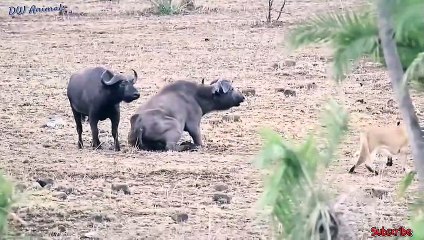 청주출장안마 -후불100%ョØ1ØM2997M5327｛카톡WD777｝  청주전지역출장안마 청주오피걸 청주출장마사지 청주안마 청주출장마사지 청주콜걸샵≮≸ぶ