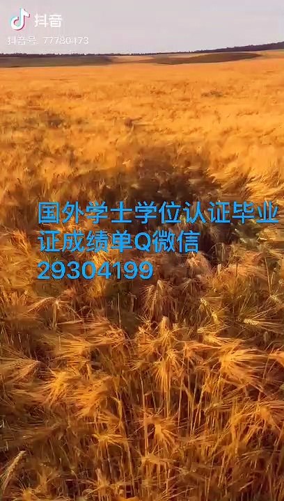 国外学位学历认证Q微信29304199 加拿大UNBC毕业证成绩单Diploma北英属哥伦比亚大学毕业证成绩单公证学位证书录取通知书雅思成绩单offer /UNBC文凭,教育部使馆留信认证,〈诚招代理〉University of Northern British Columbia