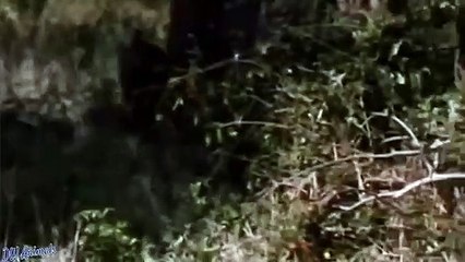 고성출장안마 -후불1ØØ%ョO7OV5222V6739｛카톡CS69｝ 고성전지역출장마사지 고성오피걸 고성출장안마 고성출장마사지 고성출장안마 고성출장콜걸샵안마 고성출장아로마고성출장샵≜∯を