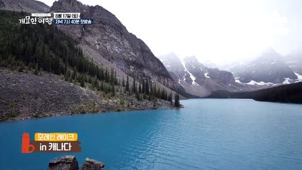 박시후와 봉브라더스의 즐거운 캐나다 여행!