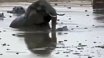 무주출장안마 -후불100%ョO7OW5222W7802｛카톡LGT010｝  무주전지역출장안마 무주오피걸 무주출장마사지 무주안마 무주출장마사지 무주콜걸샵㌴∔も