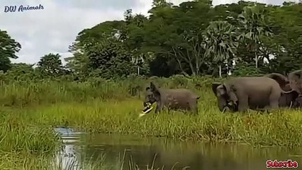 삼양출장안마 -후불1ØØ%ョOiOV2671V8135｛카톡AQ52｝ 삼양전지역출장마사지 삼양오피걸 삼양출장안마 삼양출장마사지 삼양출장안마 삼양출장콜걸샵안마 삼양출장아로마 삼양출장∴◩≤