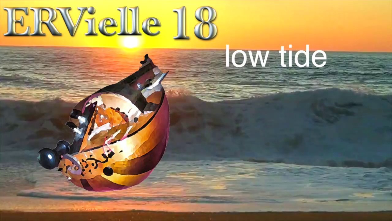 «Low tide» (ERVielle18)