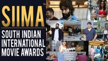 Siima 2019 Awards Tollywood Winners Full List || Filmibeat Telugu