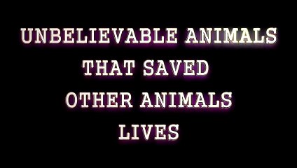 영양출장안마 -후불1ØØ%ョØ7ØE7575E0069｛카톡RD654｝ 영양전지역출장마사지 영양오피걸 영양출장안마 영양출장마사지 영양출장안마 영양출장콜걸샵안마 영양출장아로마 영양출장㌒≮∱