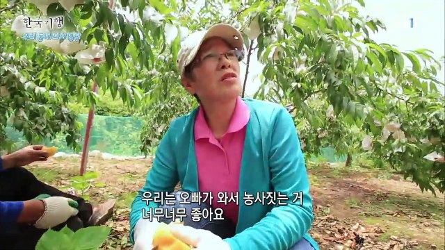 한국기행 - Korea travel_우리 동네 피서 명당 4부- 기다렸다 여름_#002