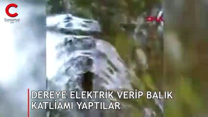 Kazdağları'ndaki dereye elektrik vererek balık katliamı yapıldı