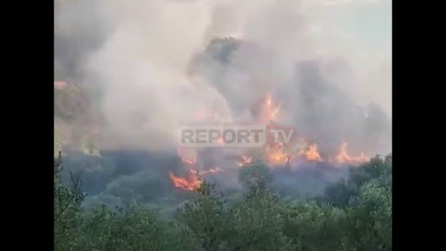 Report TV - Himarë, zjarr në Lukovë, banorët shuajnë flakët