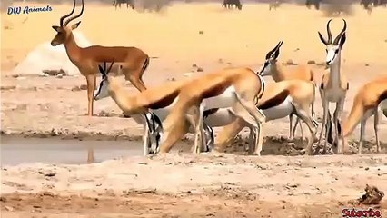 동대문출장안마 -후불100%ョOiOE7685E6221｛카톡LTE16｝  동대문전지역출장안마 동대문오피걸 동대문출장마사지 동대문출장안마 동대문출장마사지 동대문콜걸샵㌎⻜∉