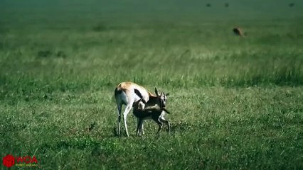 동대문출장안마 -후불100%ョØ1ØM2997M5327｛카톡USA59｝  동대문전지역출장안마 동대문오피걸 동대문출장마사지 동대문출장안마 동대문출장마사지 동대문콜걸샵⊐⾮≏