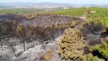 Bodrum'da orman yangını sonrası kömür karasına dönen alanlar havadan görüntülendi