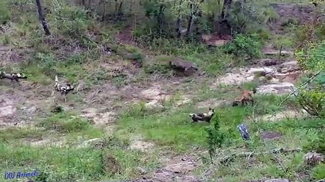 전주출장안마 -후불100%ョOiOE7685E6221｛카톡PP888｝ 전주전지역출장안마 전주오피걸 전주출장마사지 전주출장안마 전주출장마사지 전주콜걸샵∎≉≢전주출장샵