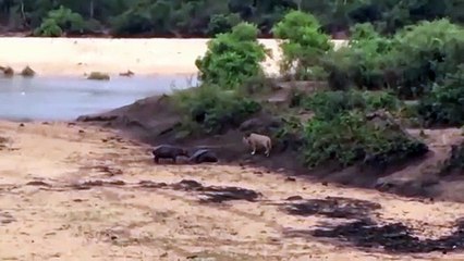 함안출장안마 -후불100%ョOiOV2671V8135｛카톡AQ52｝ 함안전지역출장안마 함안오피걸 함안출장마사지 함안출장안마 함안출장마사지 함안콜걸샵안마 함안출장아로마 함안출장안마후기∿≑∐함안출장샵