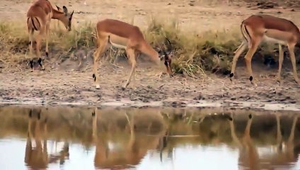 영도출장안마 -후불100%ョØ7ØE7575E0062｛카톡DK654｝ 영도전지역출장안마 영도오피걸 영도출장마사지 영도출장안마 영도출장마사지 영도출장콜걸샵안마 영도출장아로마⊑⺦⾷