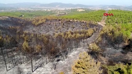 MUĞLA Bodrum'da yangın çıkan bölge drone ile görüntülendi