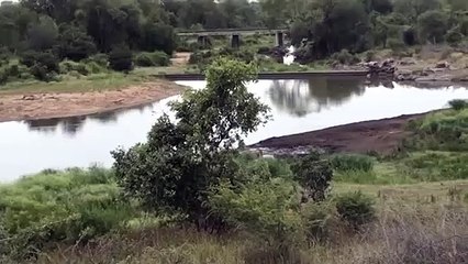 영통출장안마 -후불100%ョO7OV7333V9649｛카톡LA666｝  영통전지역출장안마 영통오피걸 영통출장마사지 영통출장안마 영통출장마사지 영통콜걸샵㍔≴◞영통출장샵