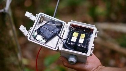 AI & Hape Bekas Lindungi Hutan