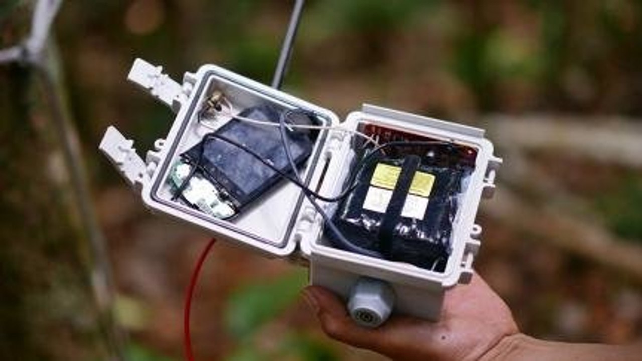 AI & Hape Bekas Lindungi Hutan