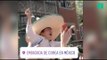 Après l'élimination de l'Allemagne, les supporters mexicains déclarent leur flamme à la Corée du Sud