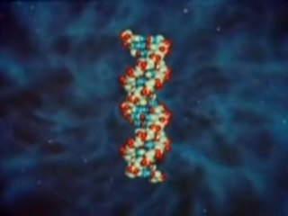 Sumer berceau de l'humanité part1