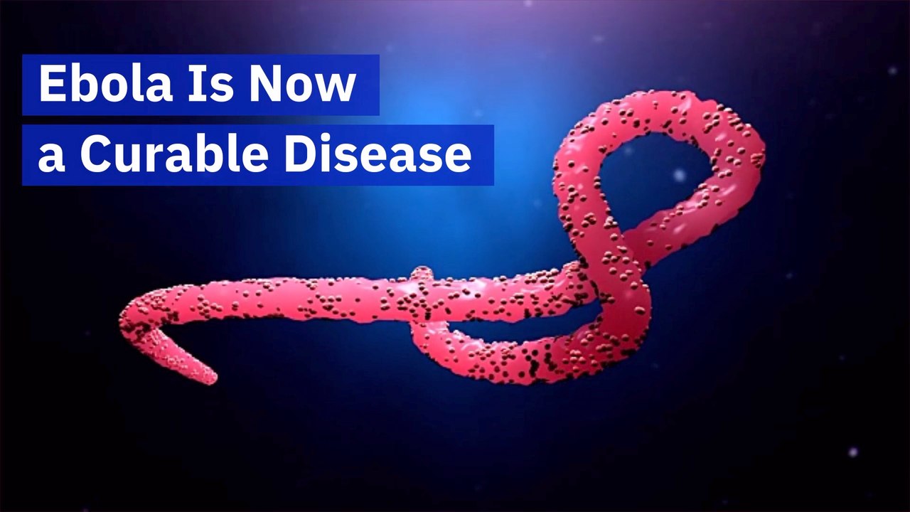 Ebola Can Be Cured