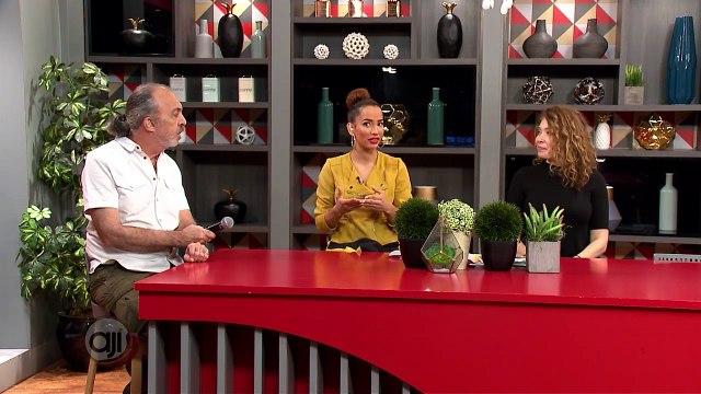 Patas y pies cuidados y educación del perro cachorro desde el destete - Nex Panamá