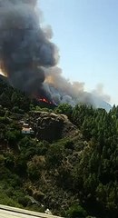 Incendio en Valleseco, Gran Canaria (1)
