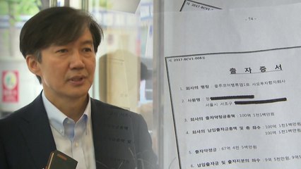 "사모펀드 약정 100억, 실제는 1/5"...조국 가족에 의존 / YTN