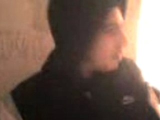 TERR-TERR!!!C LA TESS!!